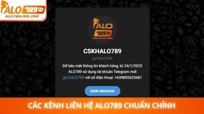 Các kênh liên hệ Alo789 chuẩn chỉnh
