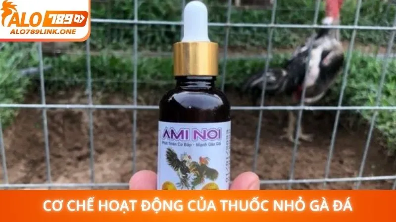 Cơ chế hoạt động của thuốc nhỏ gà đá
