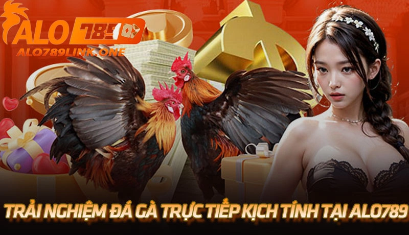 Trải nghiệm đá gà trực tiếp kịch tính tại Alo789