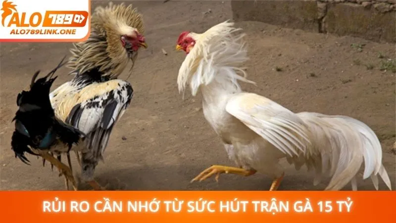 Rủi ro cần nhớ từ sức hút trận gà 15 tỷ