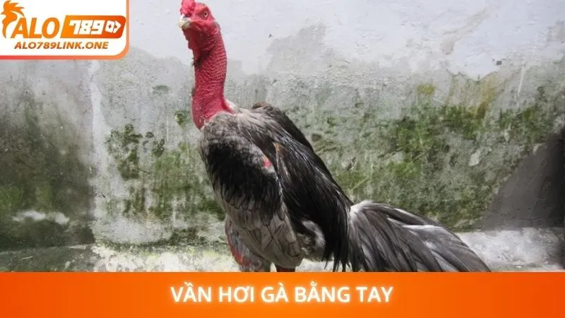 Vần hơi gà bằng tay