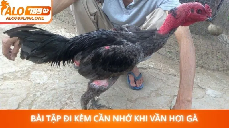 Bài tập đi kèm cần nhớ khi vần hơi gà